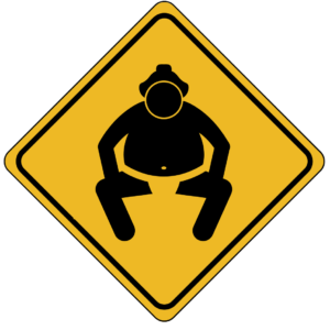 Sumo