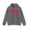 AKA American Kickboxing Academy symbol gray hoodie male model