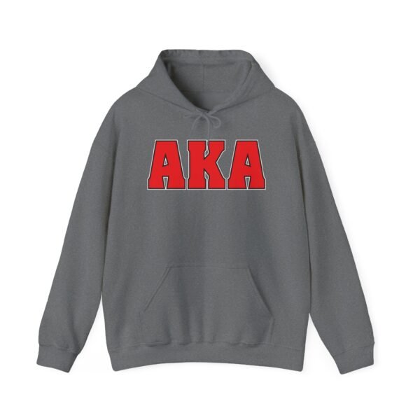 AKA American Kickboxing Academy symbol gray hoodie male model