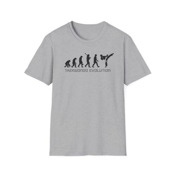 Taekwondo evolution gray tee